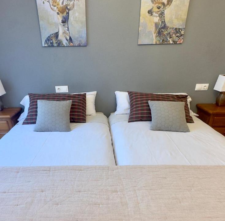 Benasque Apartment | Apartamento El Tilo de Benás
