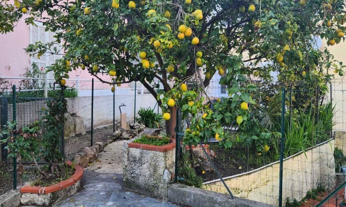Menton Apartment | Appartement 2 Pièces Jardin Menton