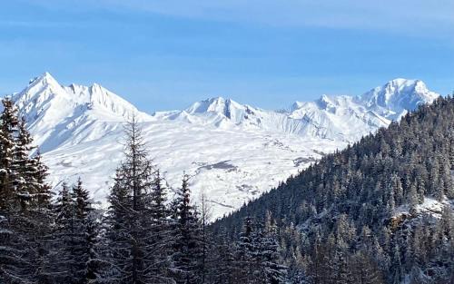 La Roche Apartment | Appartement 4-5 Personnes La Plagne 1800