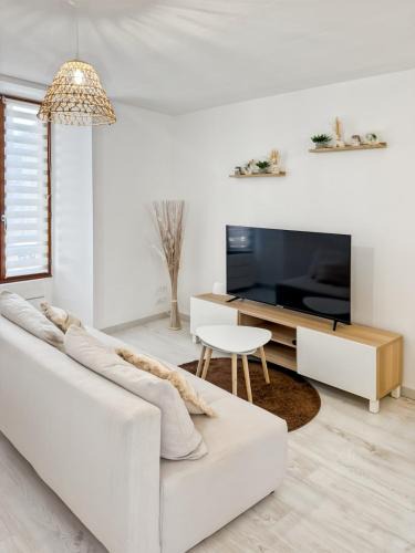 Vic-sur-Cere Apartment | Appartement rénové, lumineux au centre de Vic