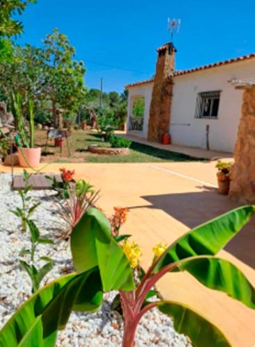 Marines House | Buganvilla