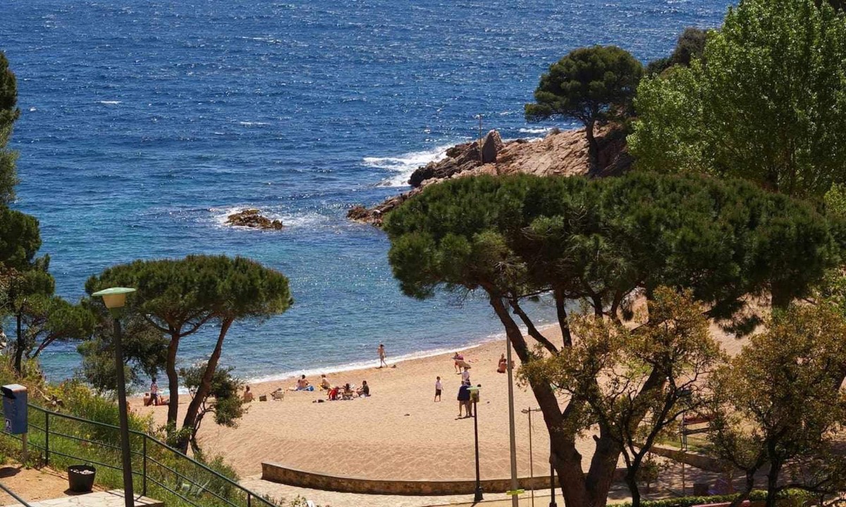Salionc Apartment | Cala Salionç 12 – Seafront Apartment with A/C