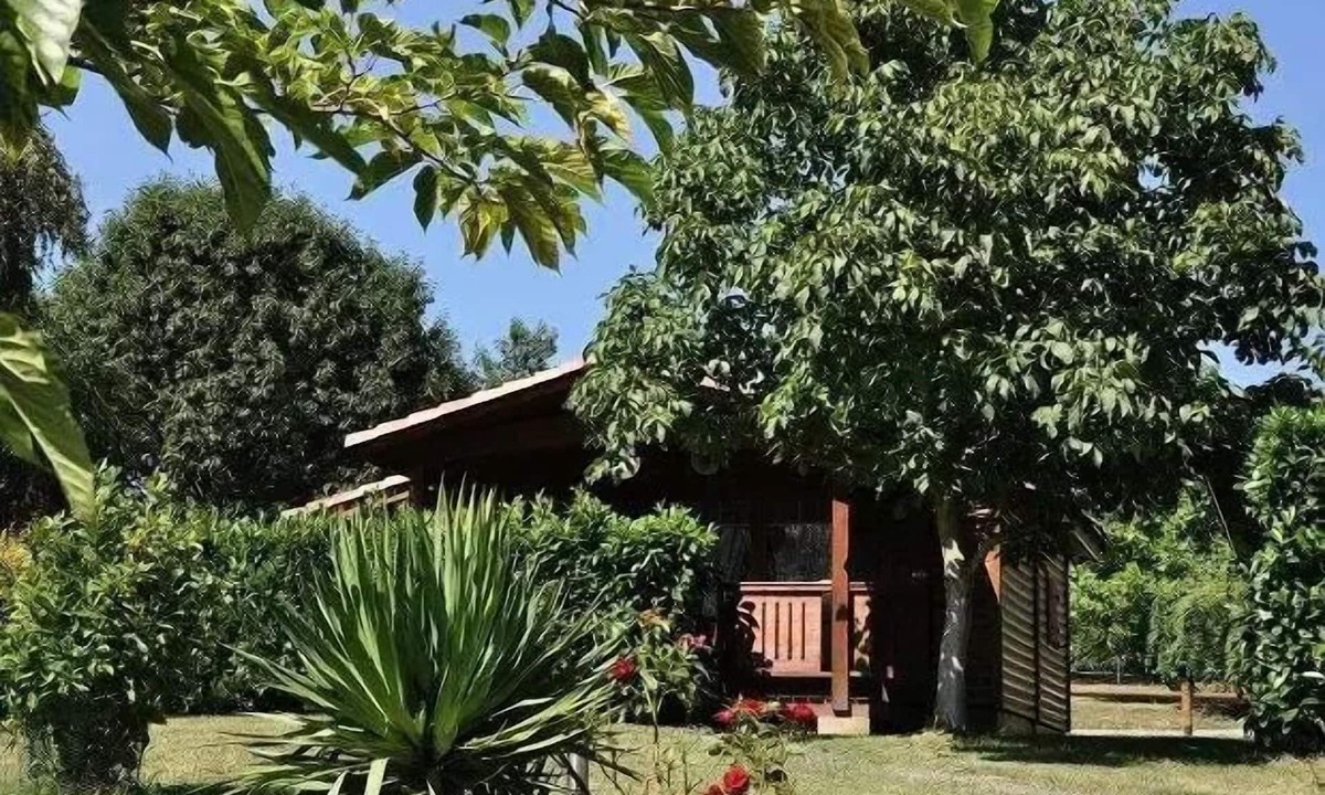 Montrejeau Ski Chalet | Campsite Midi Pyrenees * - Chalet PMR - suitable for people with reduced mobility 4 people