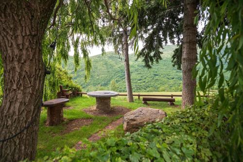 Sort Apartment | Casa Joana - Apartamento La Colomina- se admiten mascotas