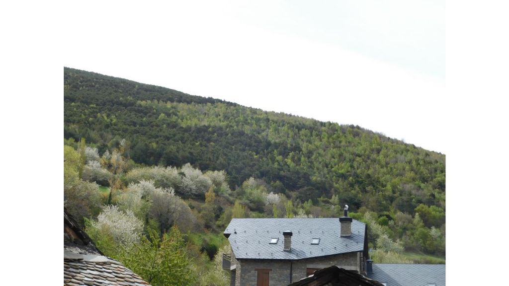 Rialp Apartment | Casa Macia - Apartment III