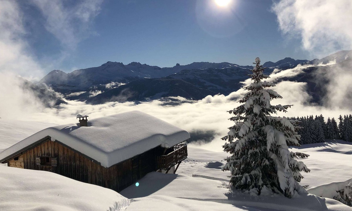 Villard-sur-Doron Ski Chalet | CHALET ALPAGE, SEIZURE, 700M SKIING, NATURE AND SCENIC VIEW