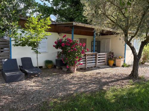 Latour-Bas-Elne House | Chalet Proche mer