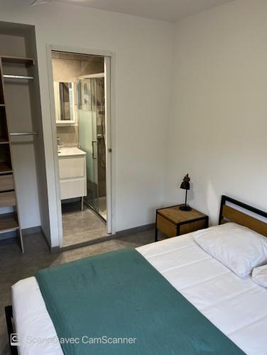 Boutonnet House | Chambre avec salle d'eau privée dans appartement partagé 200 m du tram