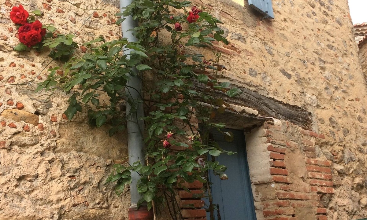 Laroque-des-Alberes House | Charming holliday-house with views of the Mediterranean and the Pyrenees