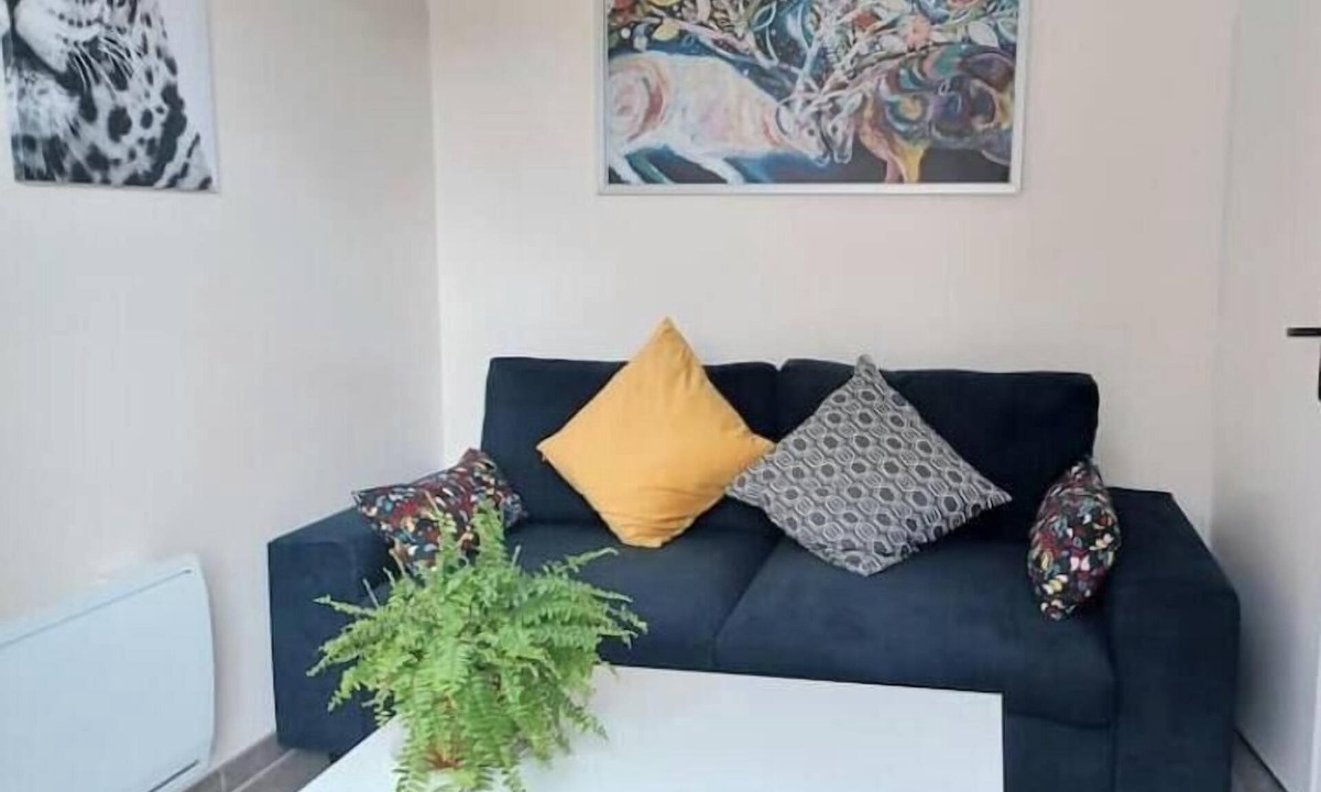 Saint-Barthelemy Apartment | Charming renovated T1 with private terrace 15 km from Bayonne