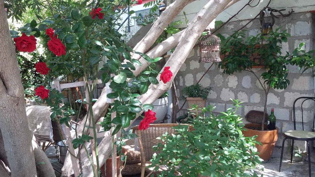 Saint-Martin Apartment | Cielito Lindo