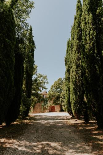 Montauroux Bed & Breakfast | Domaine de Pijaubert