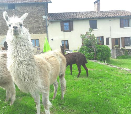 Maurs House | Fermer Non Reservable