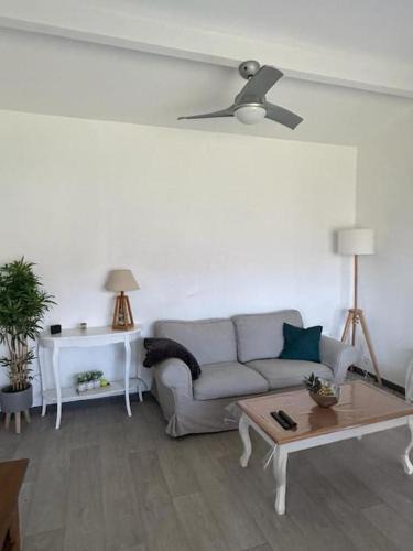 Belin-Beliet House | Gîte de Chantelaude