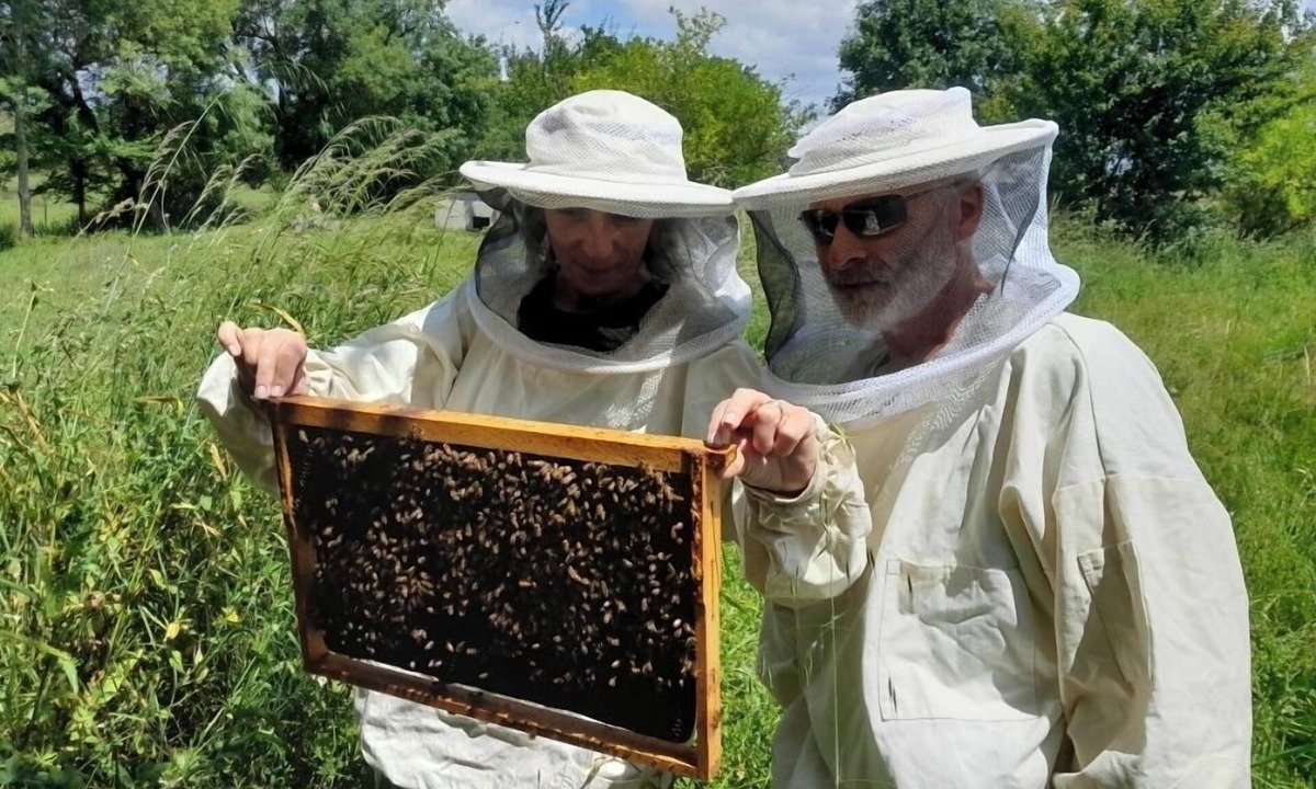Lesparre-Medoc House | Gîte de Ferme Vigneronne Avec Ateliers Découvertes Apiculture