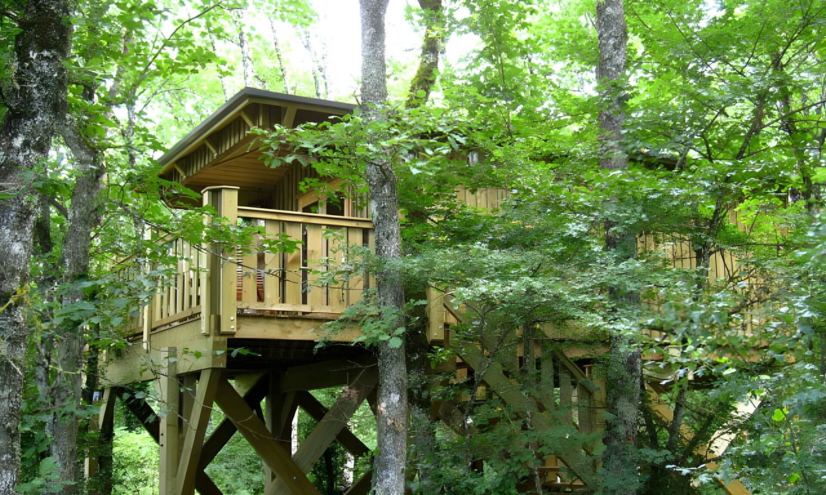 Lavaurette House | Jurassic Treehouse Lodge: A Unique Nature Adventure in France