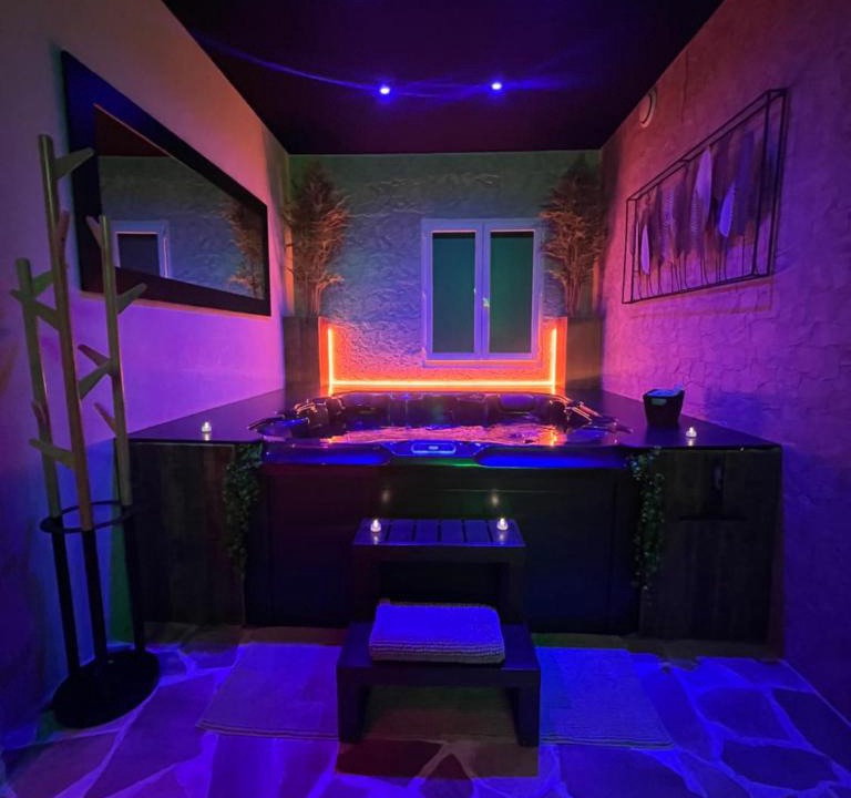 Gieres Apartment | L'appar-T loft avec Spa privatif et jardin