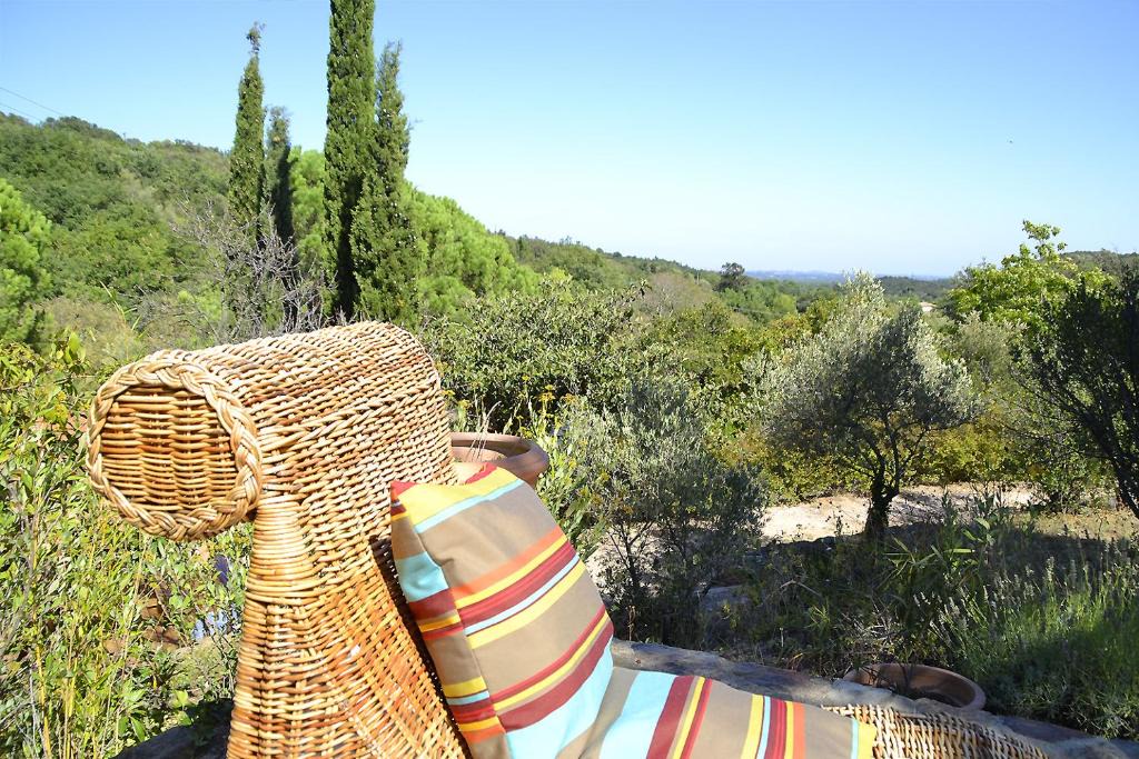 Camelas House | La Briardière