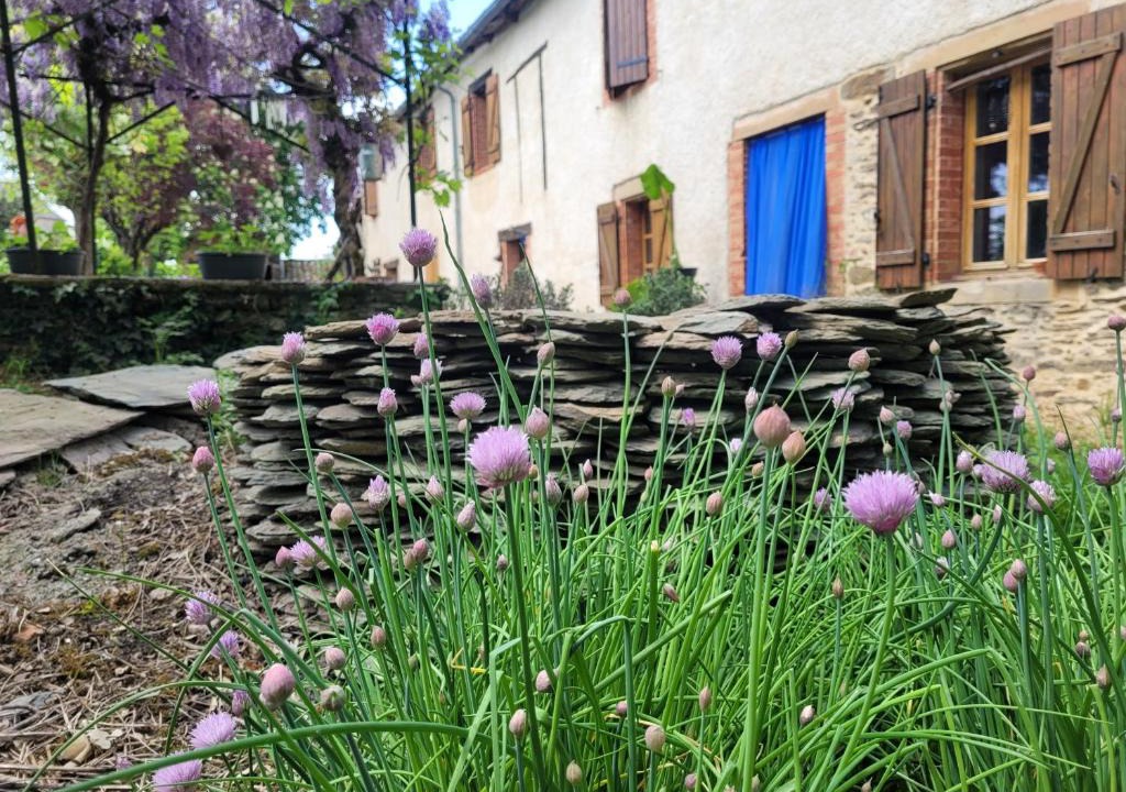 Pampelonne House | La ferme des grandes oreilles