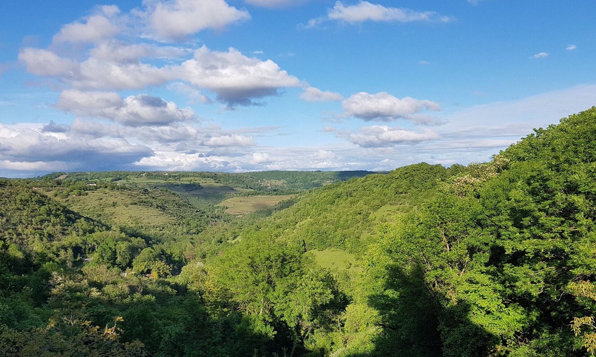Nuces House | La Fontanelle Cottage near Rodez and Conques – Vineyard Views