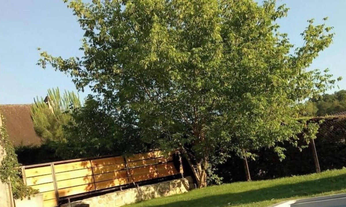 La Bachellerie House | La Maison D'albane - Maison au Calme Avec Piscine Près de Lascaux