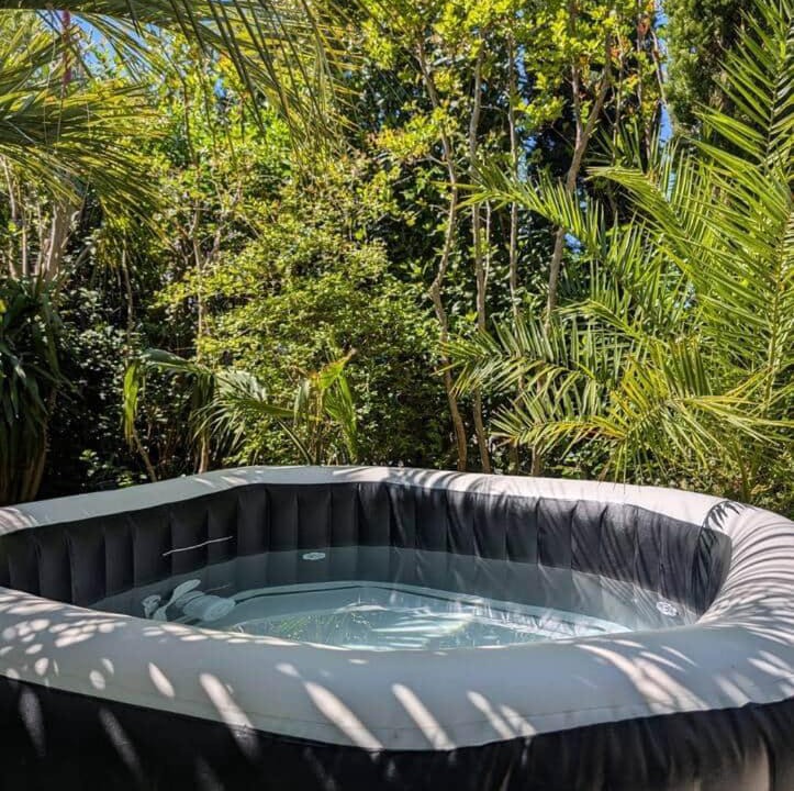 Jonquieres House | La palmeraie en Provence