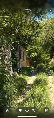 Pampelonne House | La Petite Cirounié