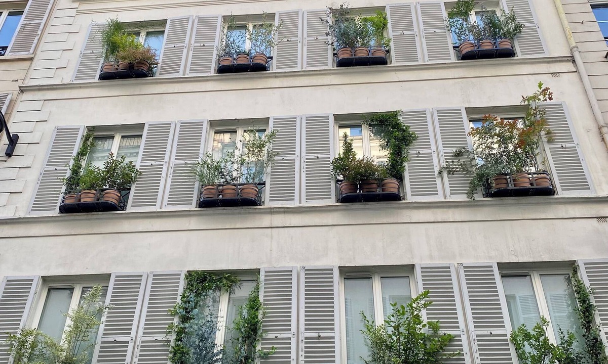 Chaussee-d'Antin Hotel | Le Basile Hôtel