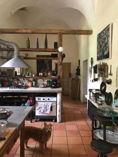 La Tour-d'Aigues House | Le lieu unique