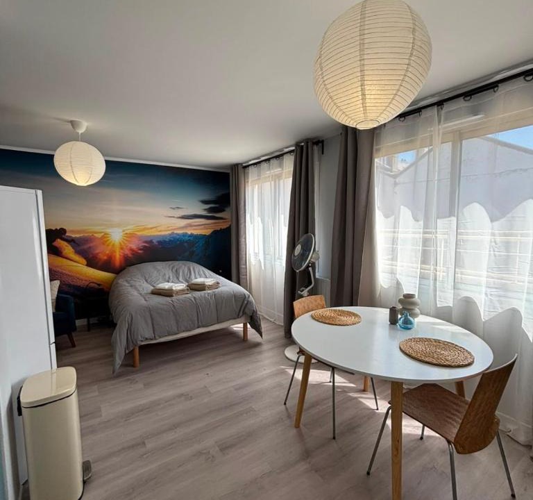 Secteur 4 Apartment | Le Skieur - Studio Cosy au coeur de Grenoble