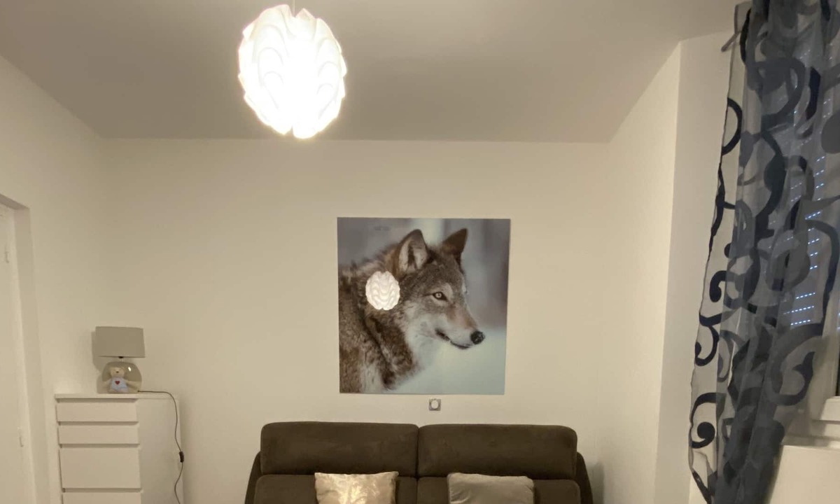 Vic-sur-Cere Apartment | LE STUDIO CENTRE VIC entre le LIORAN et AURILLAC