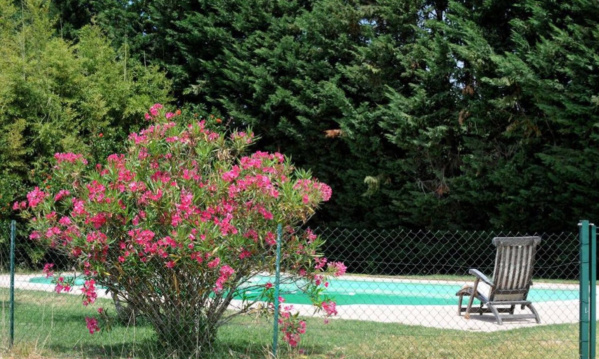 Thuir House | Les oliviers - THUIR