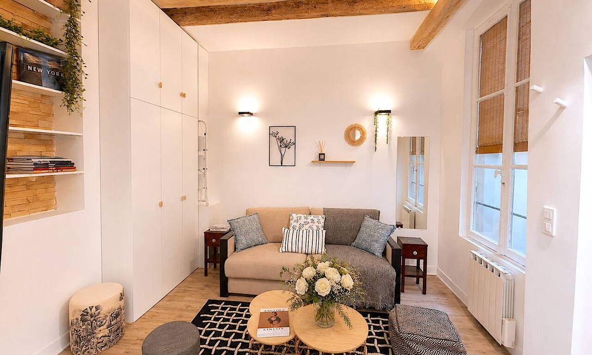 Quartier de la Monnaie Apartment | Loft Augustins