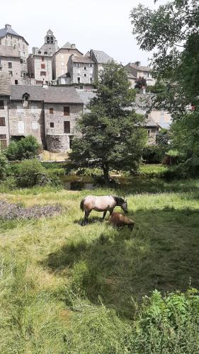 Serverette Apartment | Maison de village Base-rando Margeride 1 Appart 6 personnes et 1 Duplex 12 personnes