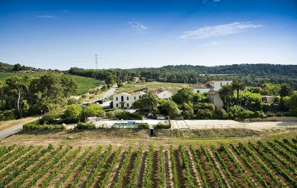 El Pla del Penedes Villa | Mas Palou