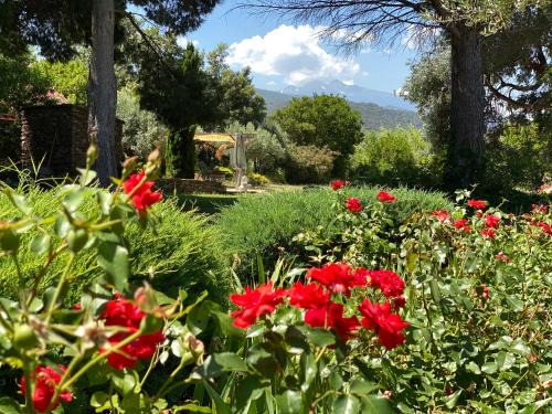 Saint-Michel-de-Llotes Bed & Breakfast | "MAS TRAMONTANE" Maison et Chambres d'hôtes avec vue sur le massif d'El Canigó
