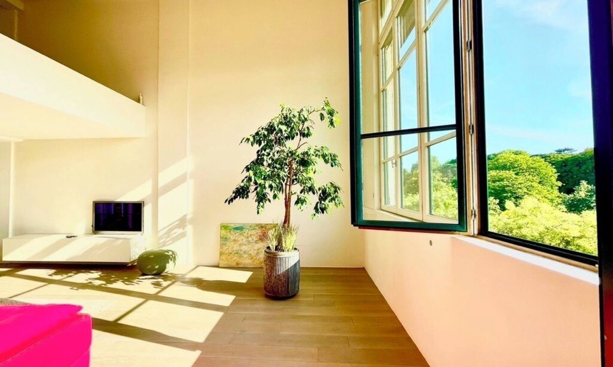 Parc-de-Montsouris Apartment | Paris: Very large loft with breathtaking park view! RER direct to airport.