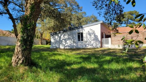 Ondres Apartment | Plage, Forêt, Vacances au calme