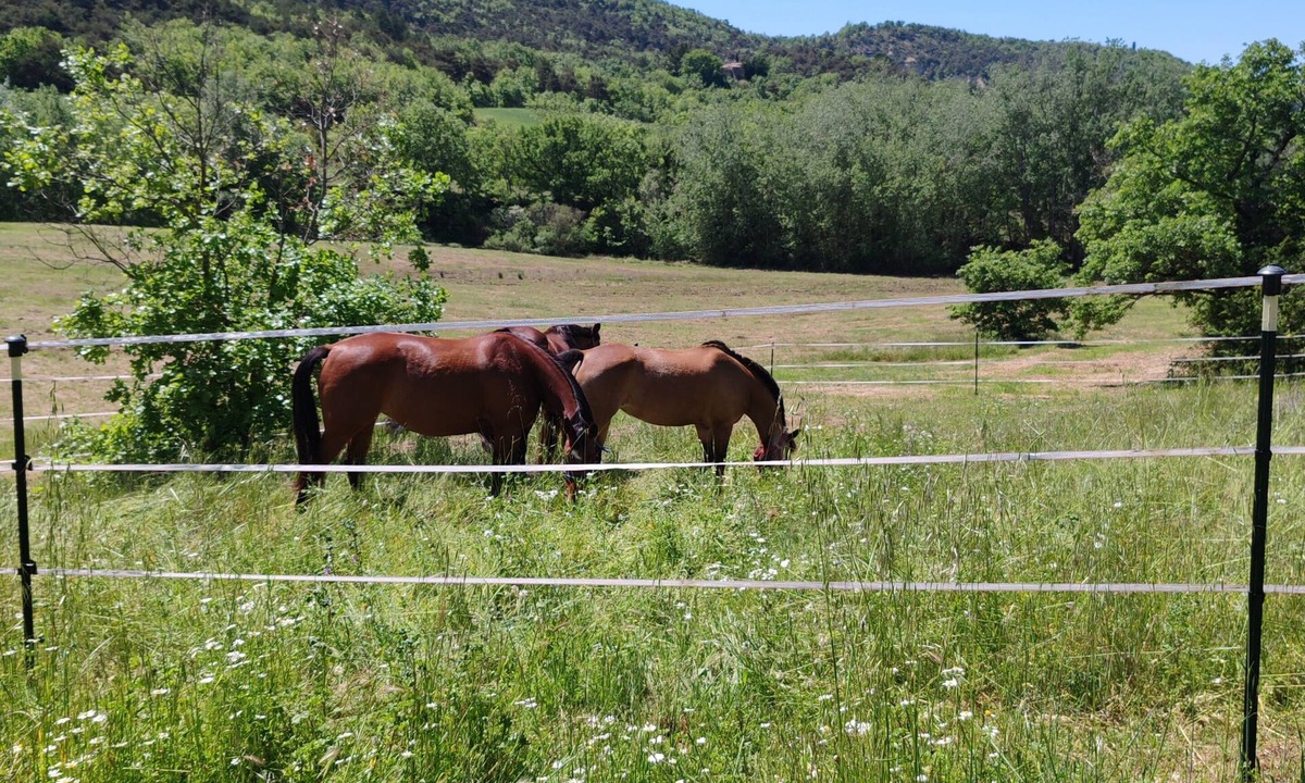 Gignac House | Property near the colorado provençal with view surrounded by 8 ha not overlooked