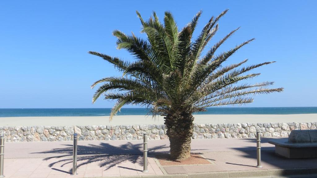 La Jetee Apartment | RESIDENCE LE NEULOS, T2 40m2 AVEC GARAGE PRIVE, 150 m de la mer, Avenue Roussillon Canet-Plage