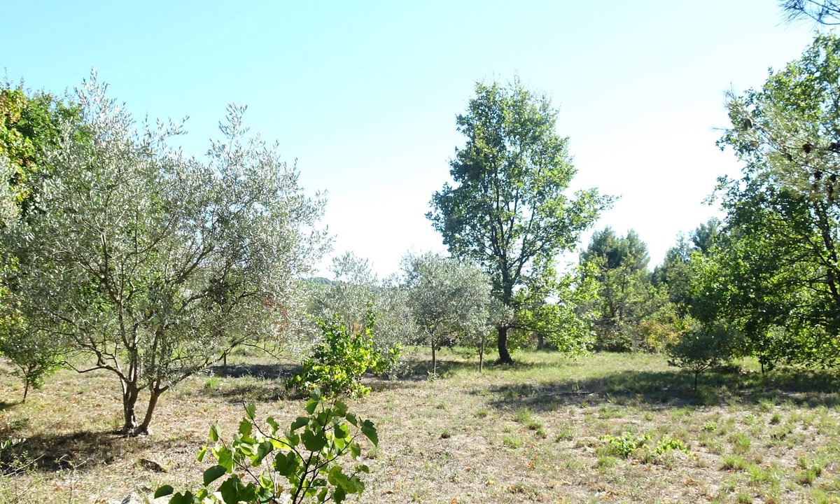 Pernes-les-Fontaines Ski Chalet | Small Provencal mazet with private pool. Ideal for nature lovers.