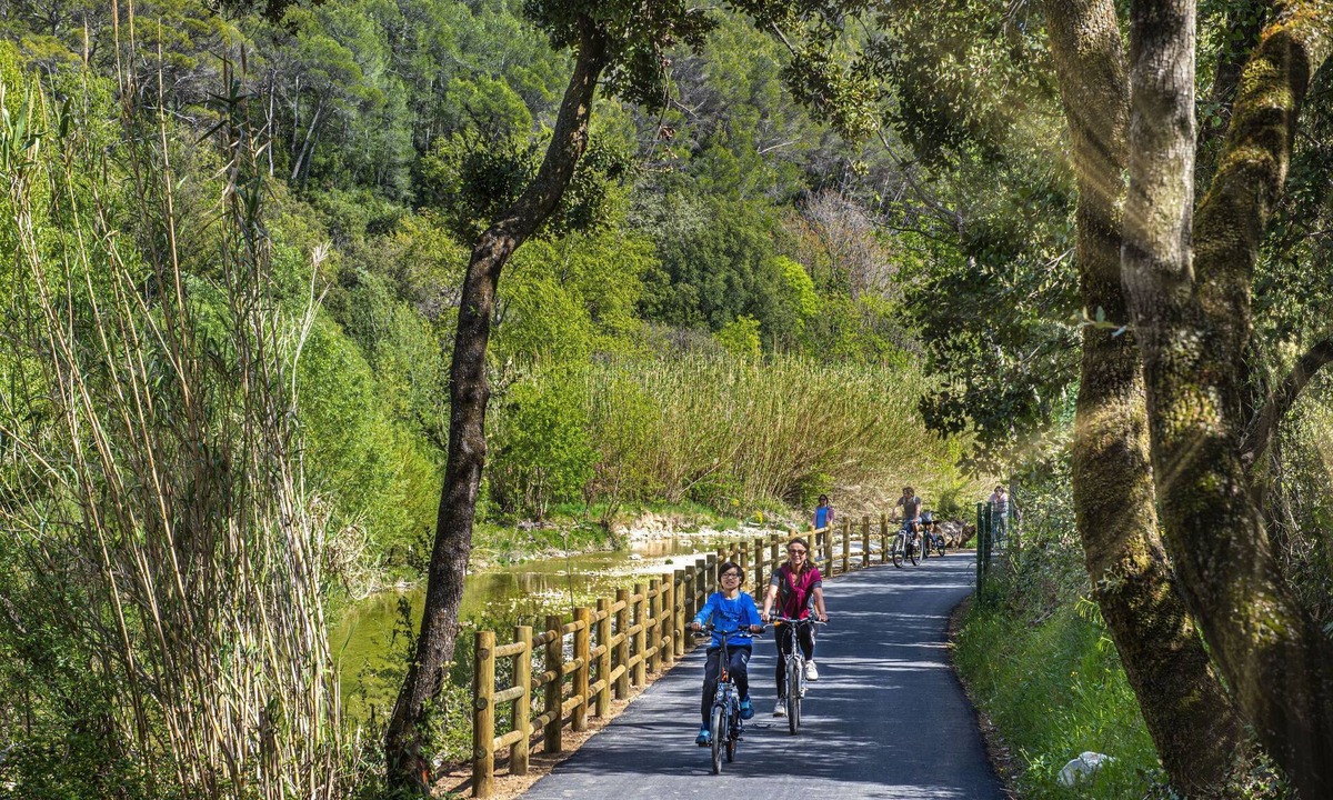 Draguignan House | Stay at the farm "la vigne a vélo" 2 rooms