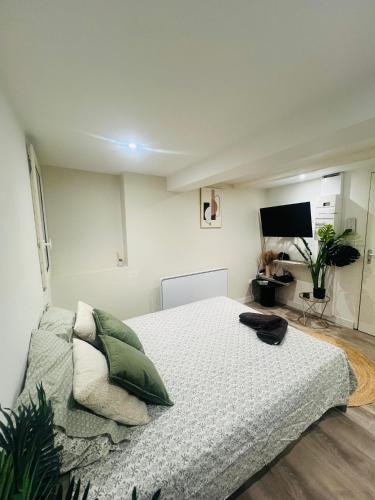 Tournon-sur-Rhone Apartment | Studio Cosy dans le centre historique de Tournon sur Rhône