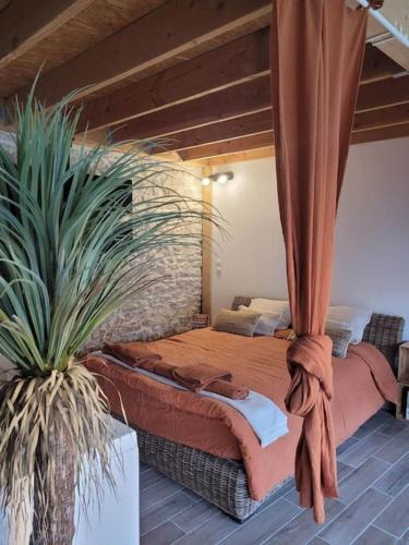 Vergeze Apartment | Studio de charme - Le Strelitzia