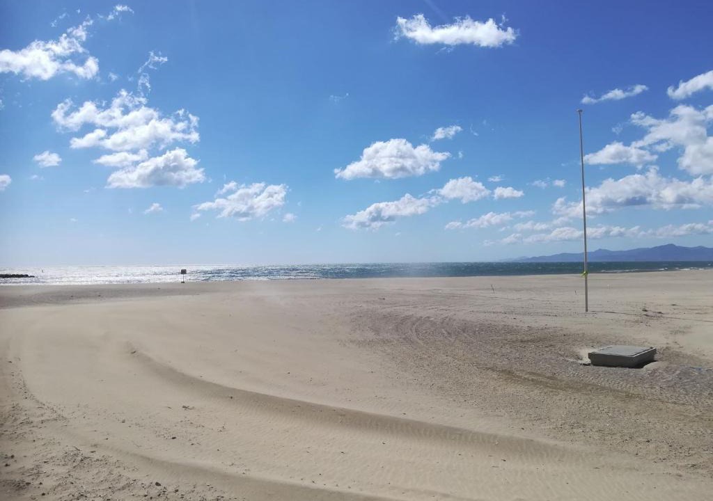 Le Port Apartment | T2 A CANET PLAGE