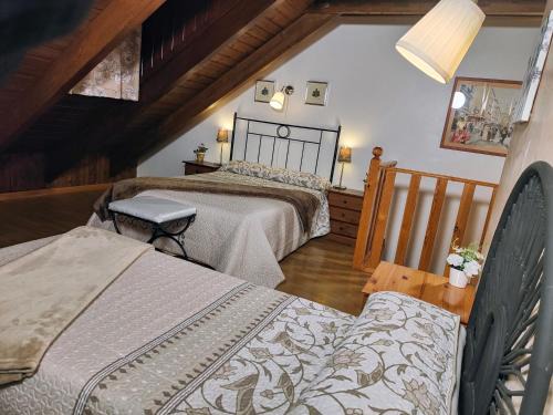 Escarrilla House | Tena Natural