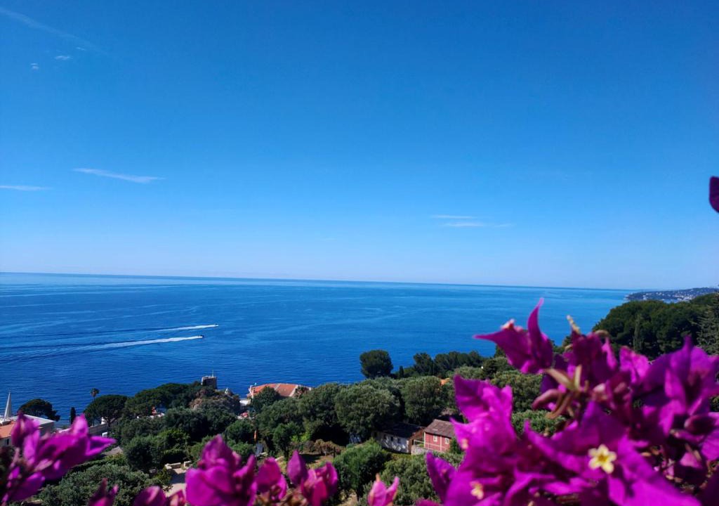 Cap d'Ail Apartment | Villa Azur Cap d'Ail
