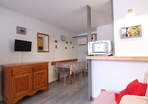 210m from shops, Ground floor, balcony, tv, ski locker, 25m², Alpe d'Huez