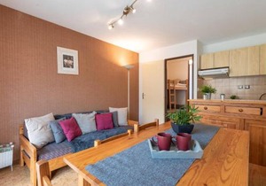 Appartement près télécabine, animaux admis, parking inclus pour 4 personnes à Vielle Aure - FR-1-296-206