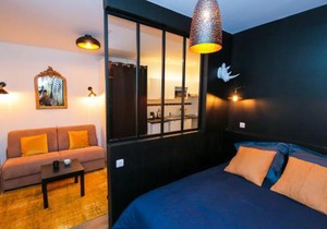 Le Zèbre, T1 hypercentre chic et cosy, Wifi par SOVALFI